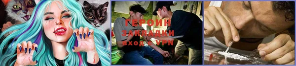 крисы Новодвинск