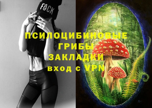 гидра Новокубанск