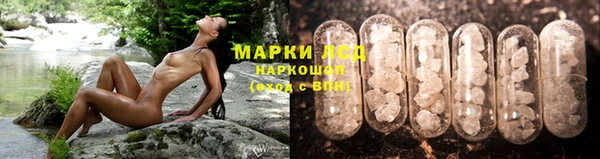 крисы Новодвинск