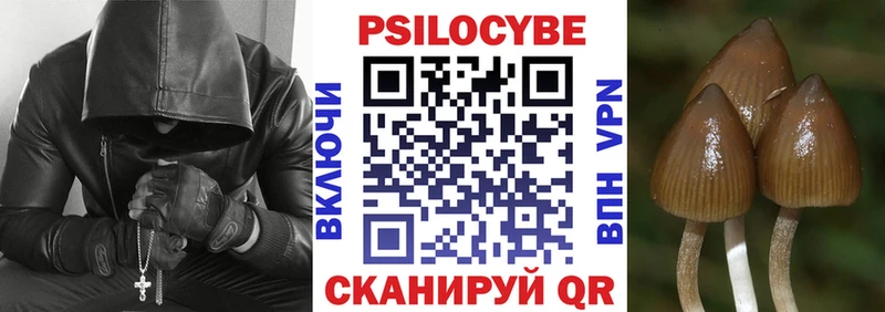 Псилоцибиновые грибы Psilocybine cubensis  omg рабочий сайт  Сосенский 
